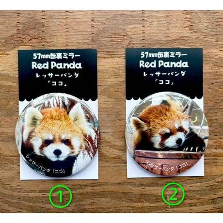 レッサーパンダ | STORES