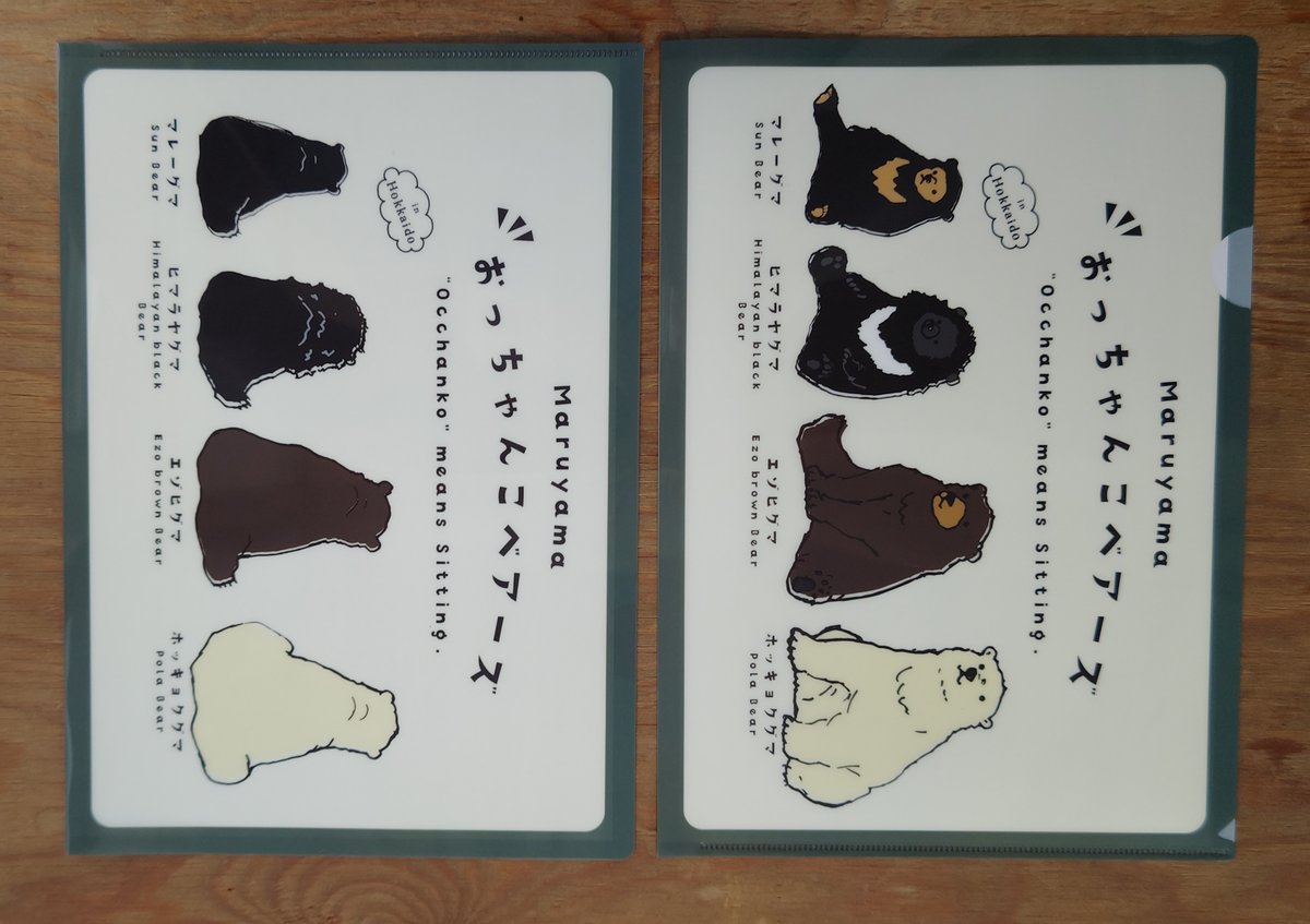 ホッキョクグマ（シロクマ）クリアファイル14枚 ホッキョクグマ（シロクマ）クリアファイル14枚