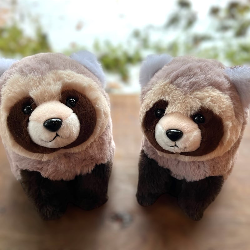 北海道限定 エゾタヌキぬいぐるみ | 円山動物園オフィシャルショップ