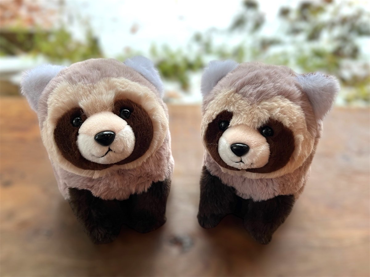 PLAVE ぬいぐるみ　タヌキ　ハミン　hamin 10cm Amazon.co.jp: PLAVE HAMIN ハミン ぬいぐるみ 10cm : おもちゃ