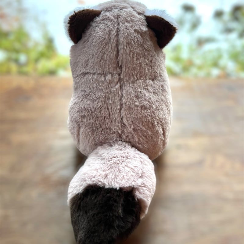 北海道限定 エゾタヌキぬいぐるみ | 円山動物園オフィシャルショップ