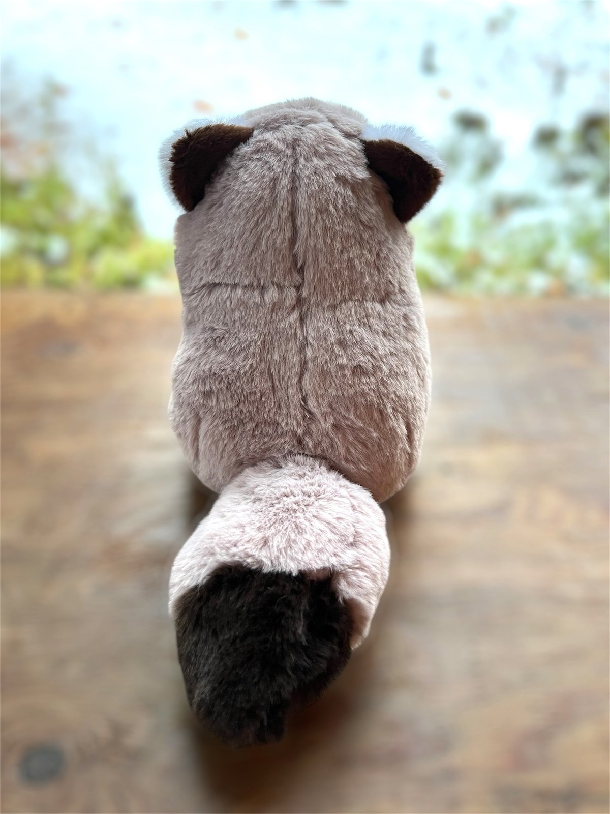 北海道限定 エゾタヌキぬいぐるみ | 円山動物園オフィシャルショップ