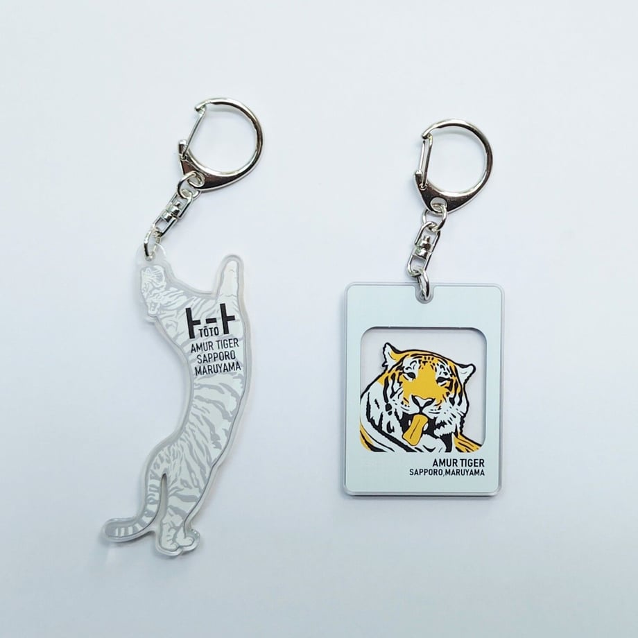 64acfdd599747d003136dc25