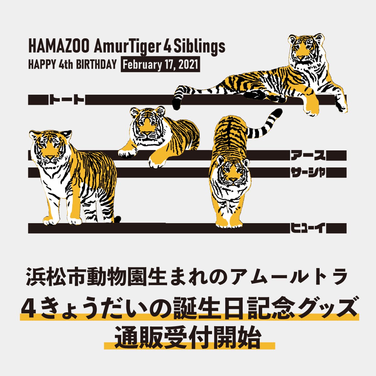 京濱鳥獣貿易 動物価格表 & 札幌 円山動物園 どうぶつぐらふ アムールトラ4きょうだいの誕生日記念グッズ 3/1(土)通販受付
