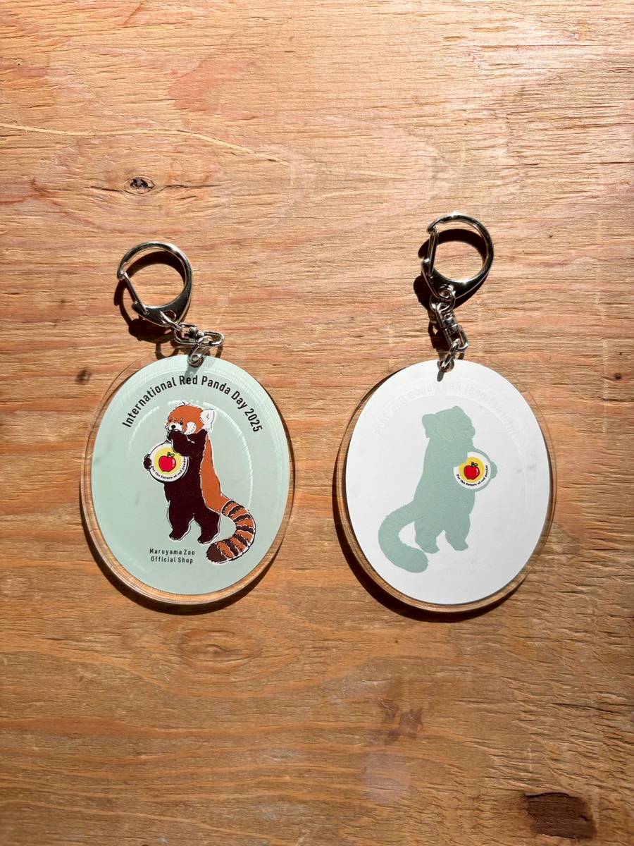 レッサーパンダデー2025 オリジナルアクリルキーホルダー | 円山動物園