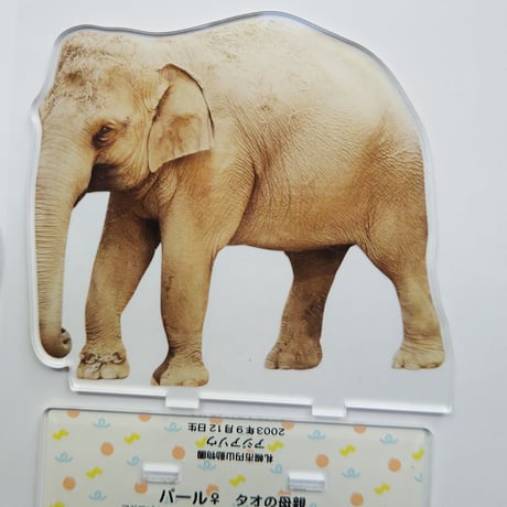 円山動物園　アジアゾウ　タオ・パール　アクリルスタンド全種セット