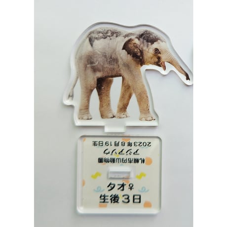 円山動物園　アジアゾウ　タオ・パール　アクリルスタンド全種セット