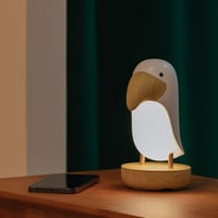 トゥーカン　ライト　オオハシ