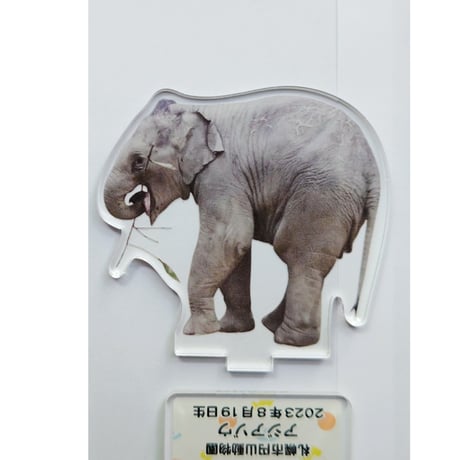 円山動物園　アジアゾウ　タオ・パール　アクリルスタンド全種セット