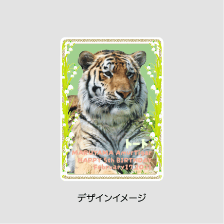アムールトラ「トート」5さい記念　トレカ風アクリルスタンド