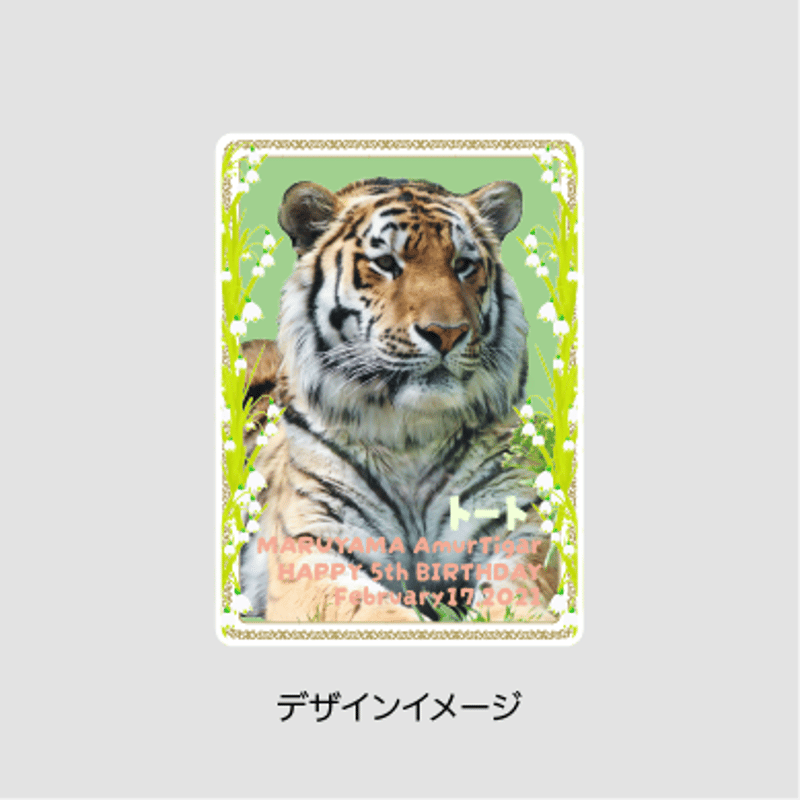 アムールトラ「トート」5さい記念 トレカ風アクリルスタンド | 円山