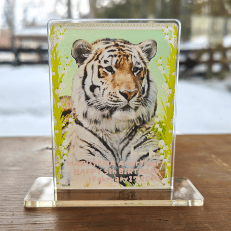 アクリルスタンド | STORES