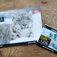 2026年度　みんなの写真で作ろう円山動物園カレンダー　A4壁掛け