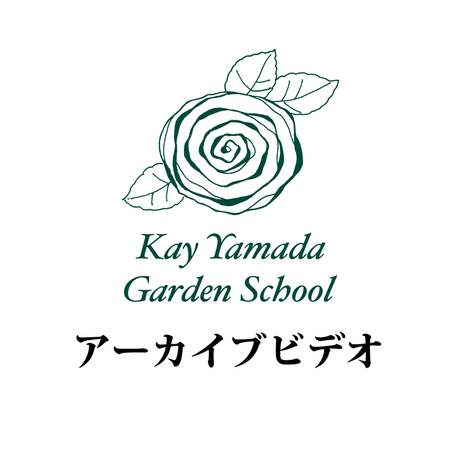 64bb54195ab45e1614a24009