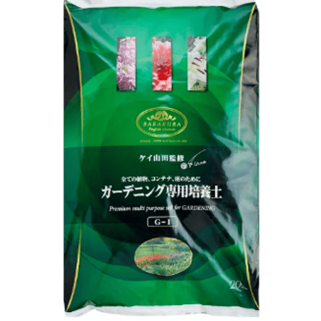 大きめ盆栽　新品　1点もの　鉢植え　人工芝 A 20 cm bonsai that will be made from now on over 20 years - YouTube