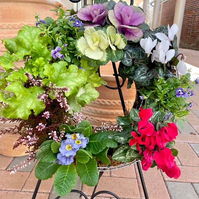 バラクラガーデンセンター】*生花苗のリースA | BARAKURAオンライン