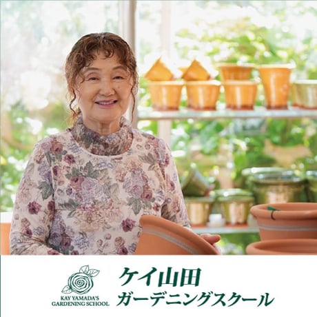 ケイ山田 KAY YAMADA レース カーディガン バラ色の暮し