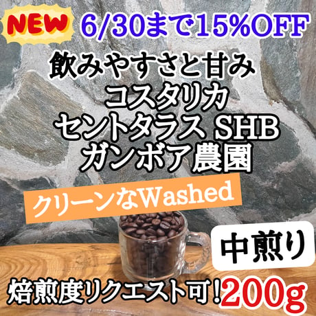 コスタリカ セントタラス SHB ガンボア農園 200g
