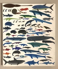 ８５種類の絶滅した海の生き物たち