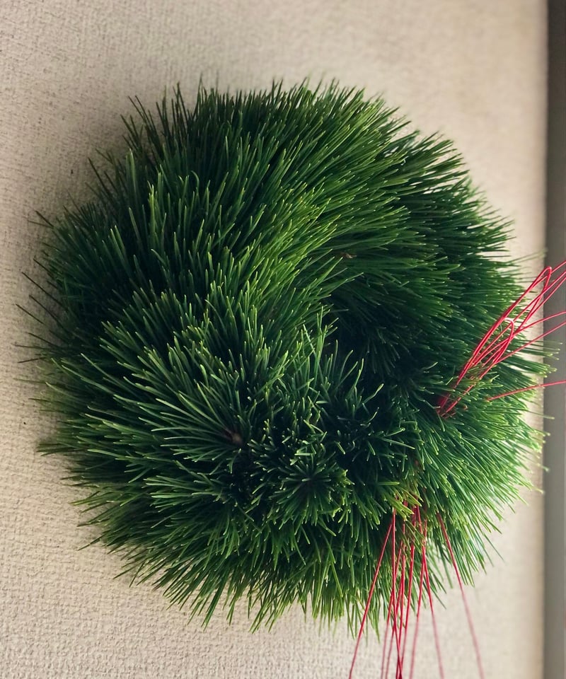 松の新春リース | botanical driedflower works