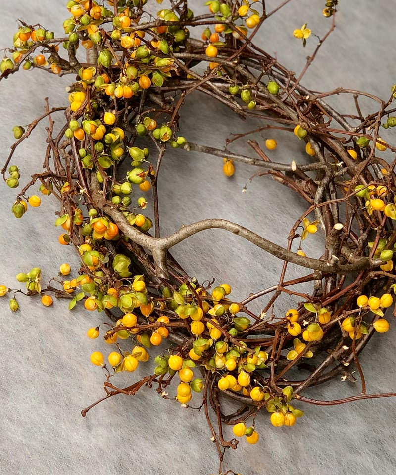 ツルウメモドキのリース 大 | botanical driedflower works