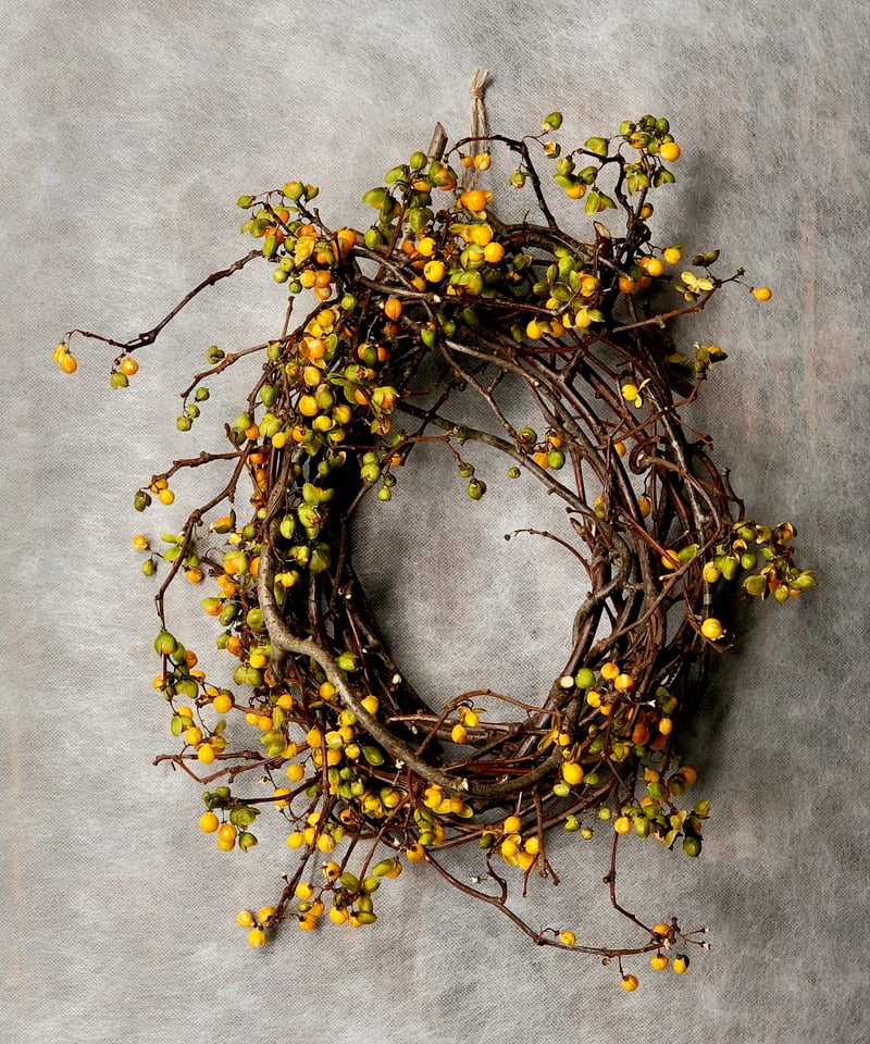 ツルウメモドキのリース 大 | botanical driedflower works