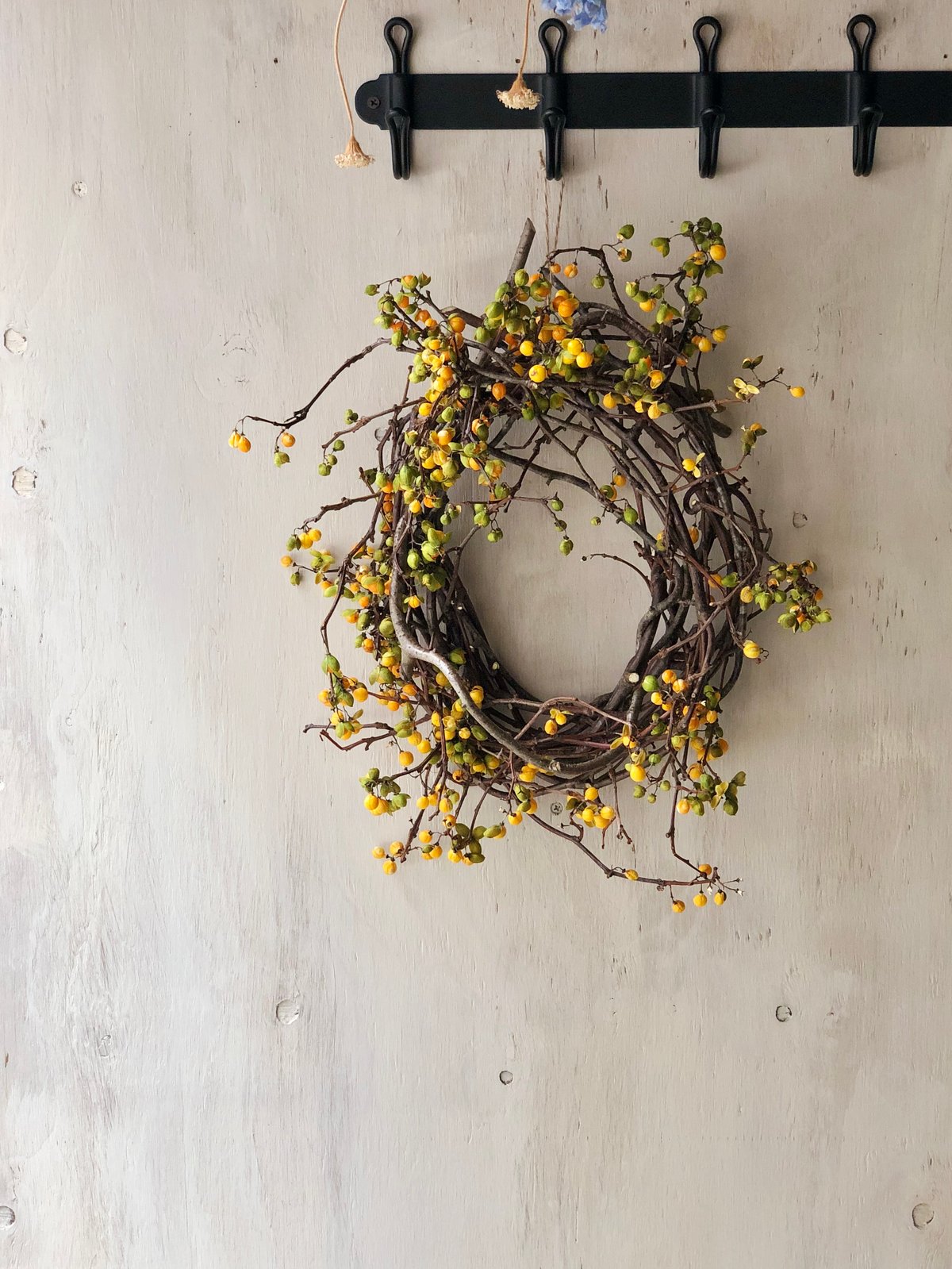 ツルウメモドキのリース 大 | botanical driedflower works