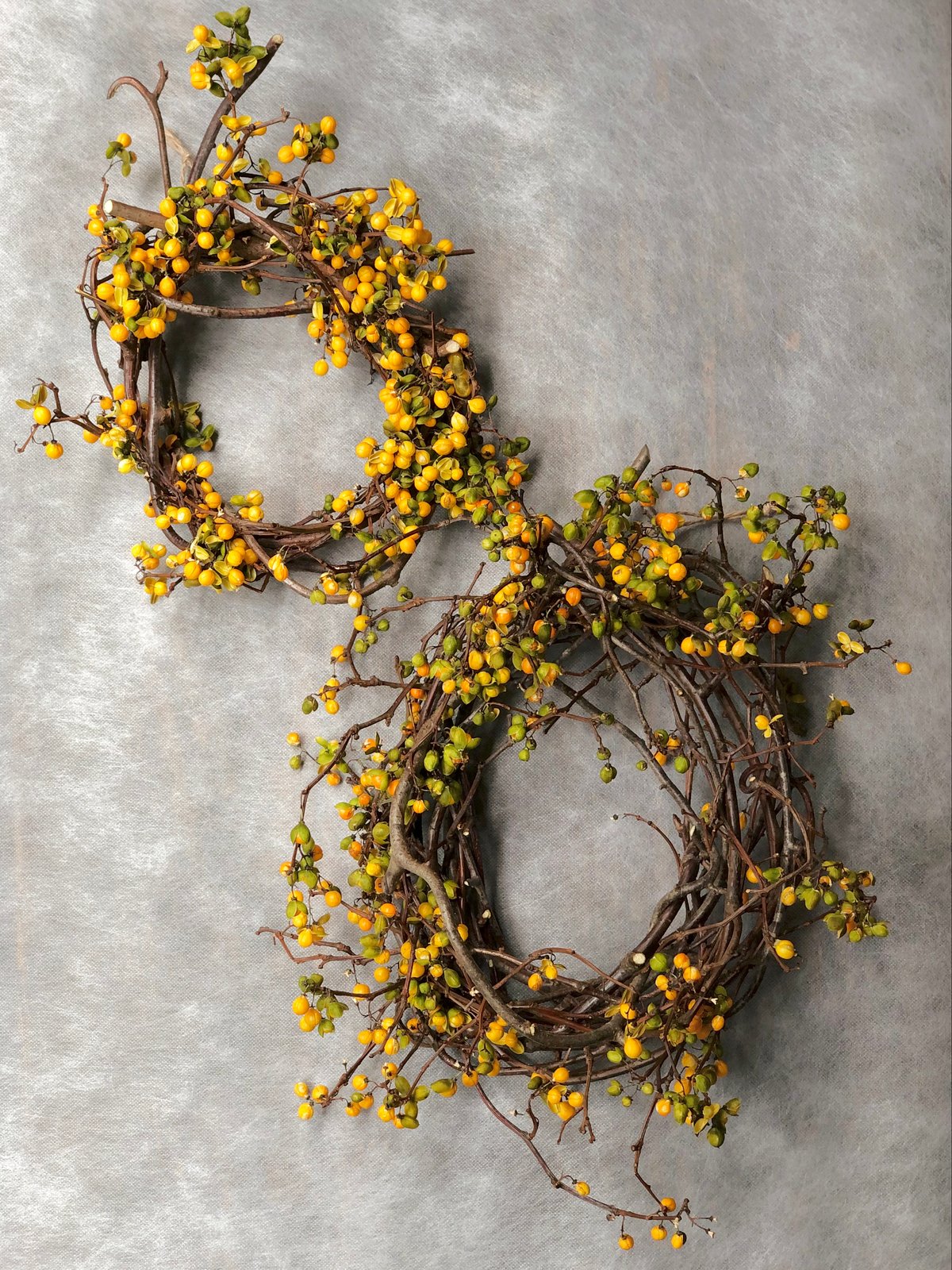 ツルウメモドキリースD ツルウメモドキのリース 大 | botanical driedflower works