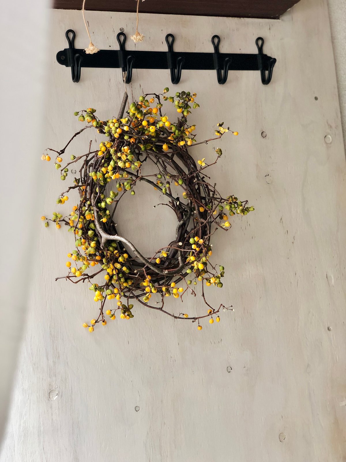 ツルウメモドキのリース 大 | botanical driedflower works