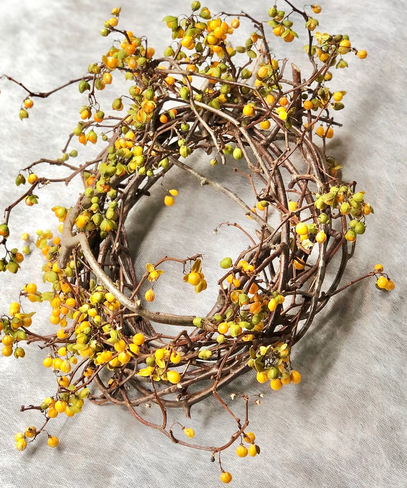 ツルウメモドキのリース 大 | botanical driedflower works