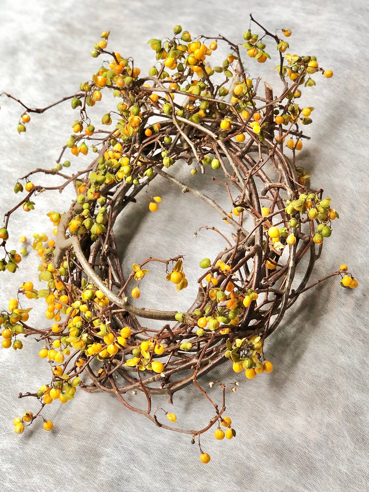 ツルウメモドキのリース 大 | botanical driedflower works