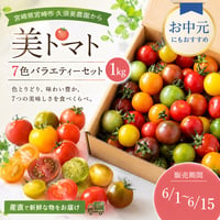 【宮崎市】くす美トマト農園　美トマト７色セット　1㎏