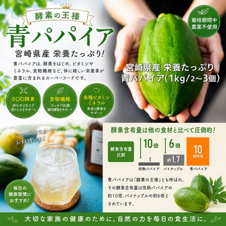 パパイヤ王子　毎日の健康習慣を、特別な贈り物に。パパイア王子 酵素ティー3種ギフトセット【新富町】