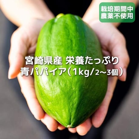 【新富町】MIYAZAKI　GREEN　PAPAIYA 【酵素の王様セット】