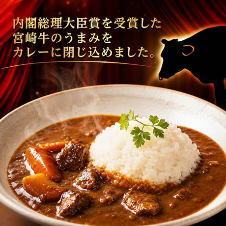 トプカ　じっくり煮込み丹精込めた自信作！地元に愛されるトプカカレー5個セット【都城市】