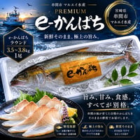 マルエイ水産 e-かんぱちラウンド：3.5～3.8㎏　1尾　【串間市】