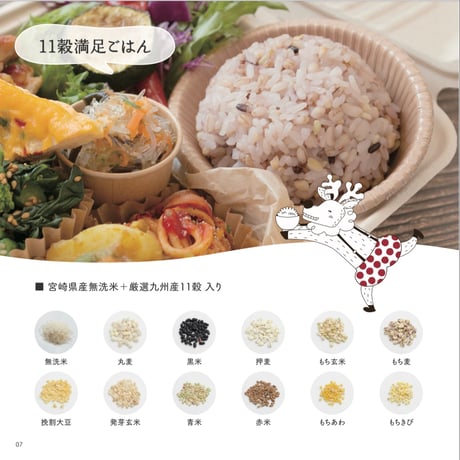 毎日のごはんを、もっと美味しく、もっと健康に。DNBO*DELI　ごほうびごはん（3種セット）【日向市】