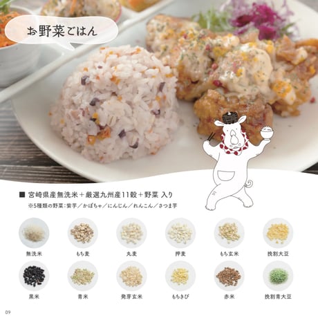 毎日のごはんを、もっと美味しく、もっと健康に。DNBO*DELI　ごほうびごはん（3種セット）【日向市】