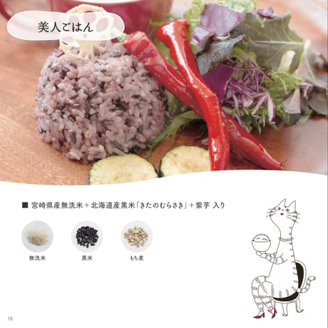毎日のごはんを、もっと美味しく、もっと健康に。DNBO*DELI　ごほうびごはん（3種セット）【日向市】
