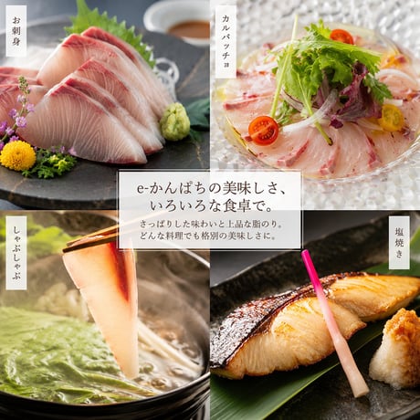 マルエイ水産　e-かんぱちフィーレ：半身0.9～1.2㎏　1枚【串間市】