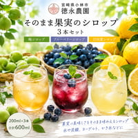 徳永農園　そのまま果実のシロップ3本セット（梅シロップ・ブルーベリーシロップ・日向夏）200ｍｌ×3　合計600ml【小林市】