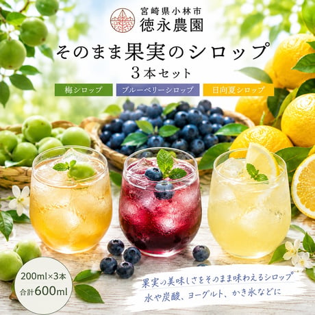 徳永農園　そのまま果実のシロップ3本セット（梅シロップ・ブルーベリーシロップ・日向夏）200ｍｌ×3　合計600ml【小林市】