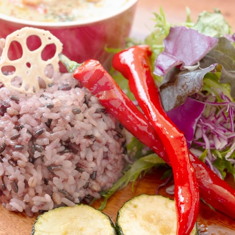 毎日のごはんを、もっと美味しく、もっと健康に。DNBO*DELI　ごほうびごはん（3種セット）【日向市】