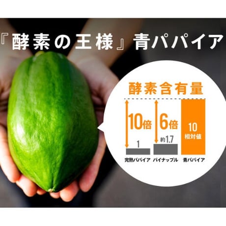 【新富町】MIYAZAKI　GREEN　PAPAIYA 【酵素の王様セット】