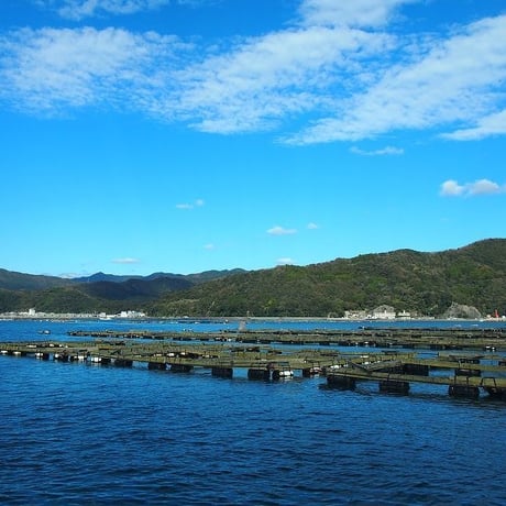 北浦町　(株)カネヲト　ひむか本鯖　バラエティーセット（しめ鯖・炙り・一夜干し）