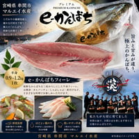 マルエイ水産　e-かんぱちフィーレ：半身0.9～1.2㎏　1枚【串間市】