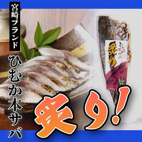 北浦町　(株)カネヲト　ひむか本鯖　バラエティーセット（しめ鯖・炙り・一夜干し）