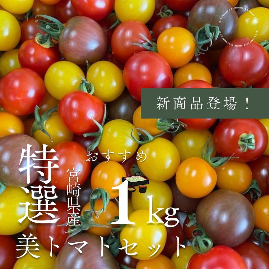 6405b58be2f3b66ba356ef9a