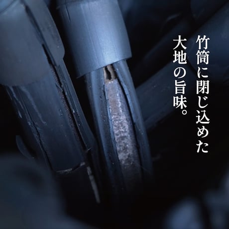 国富町　竹炭の里　竹炭の塩　2種セット