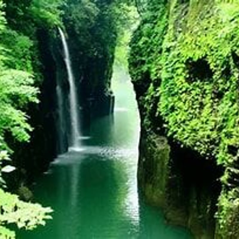 高千穂町】神話の里 高千穂町で生まれた！宮崎名物大人のチーズ